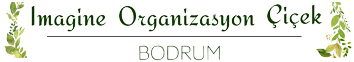 BODRUM ÇİÇEKÇİ | Bodrum Yalıkavak Çiçekçi | Bodrum Merkez Çiçek Siparişi logo